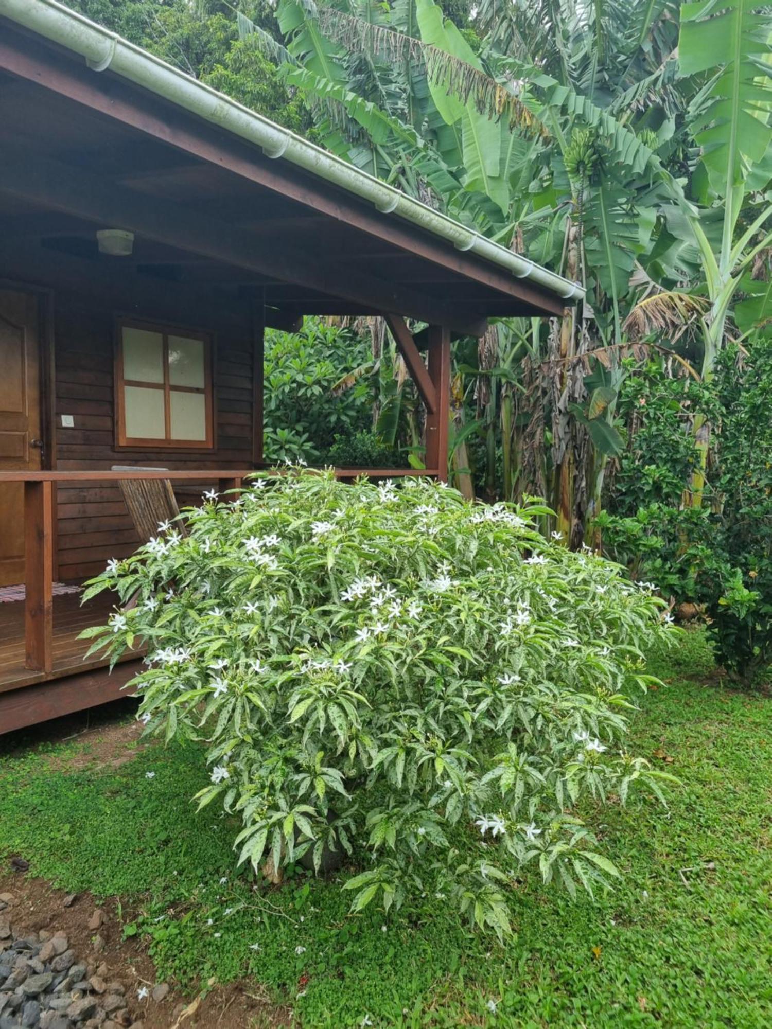 Painapaopao Backpacker Hostel Moorea Exterior photo